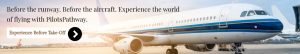 Flight simulator training