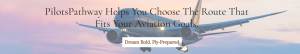 Airline Company in India