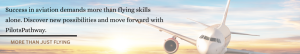 Pilot Psychometric Test